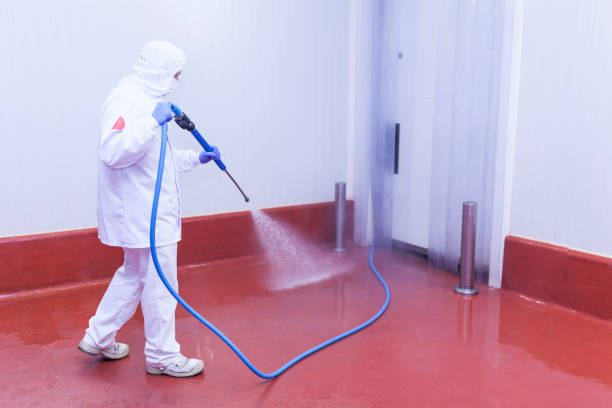 Best Sidewalk and Walkway Cleaning  in Dunlap, OH